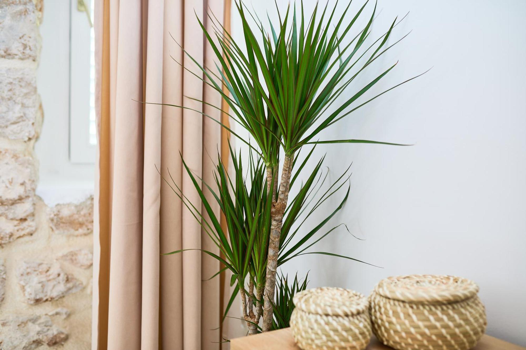 Apartment Iza Grada Dubrovnik Ngoại thất bức ảnh